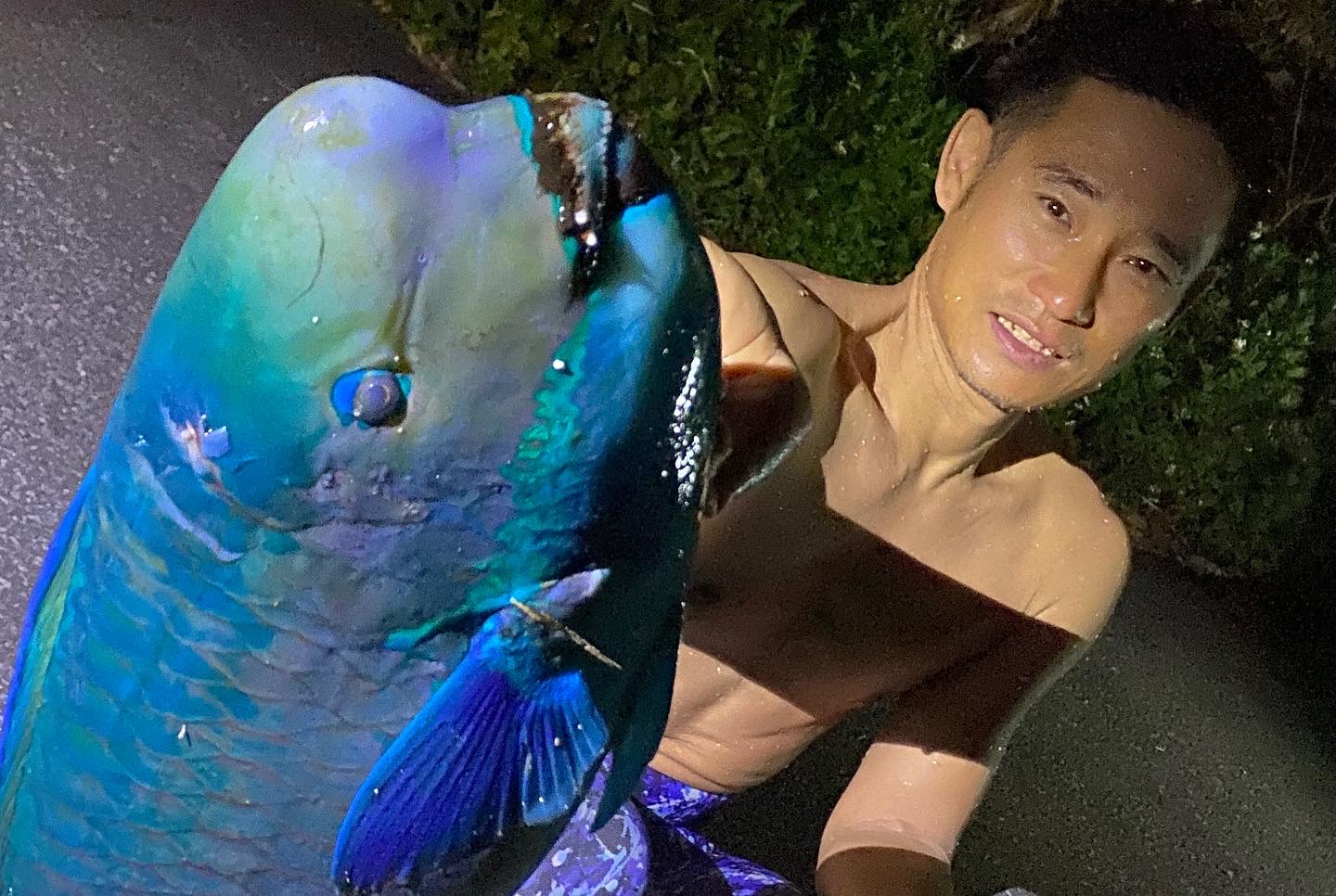 海鮮コースのイメージ