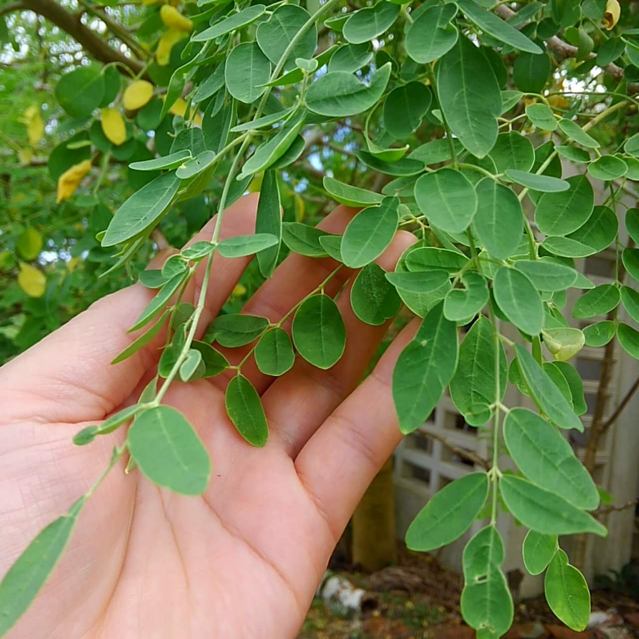 received_1701673873194127