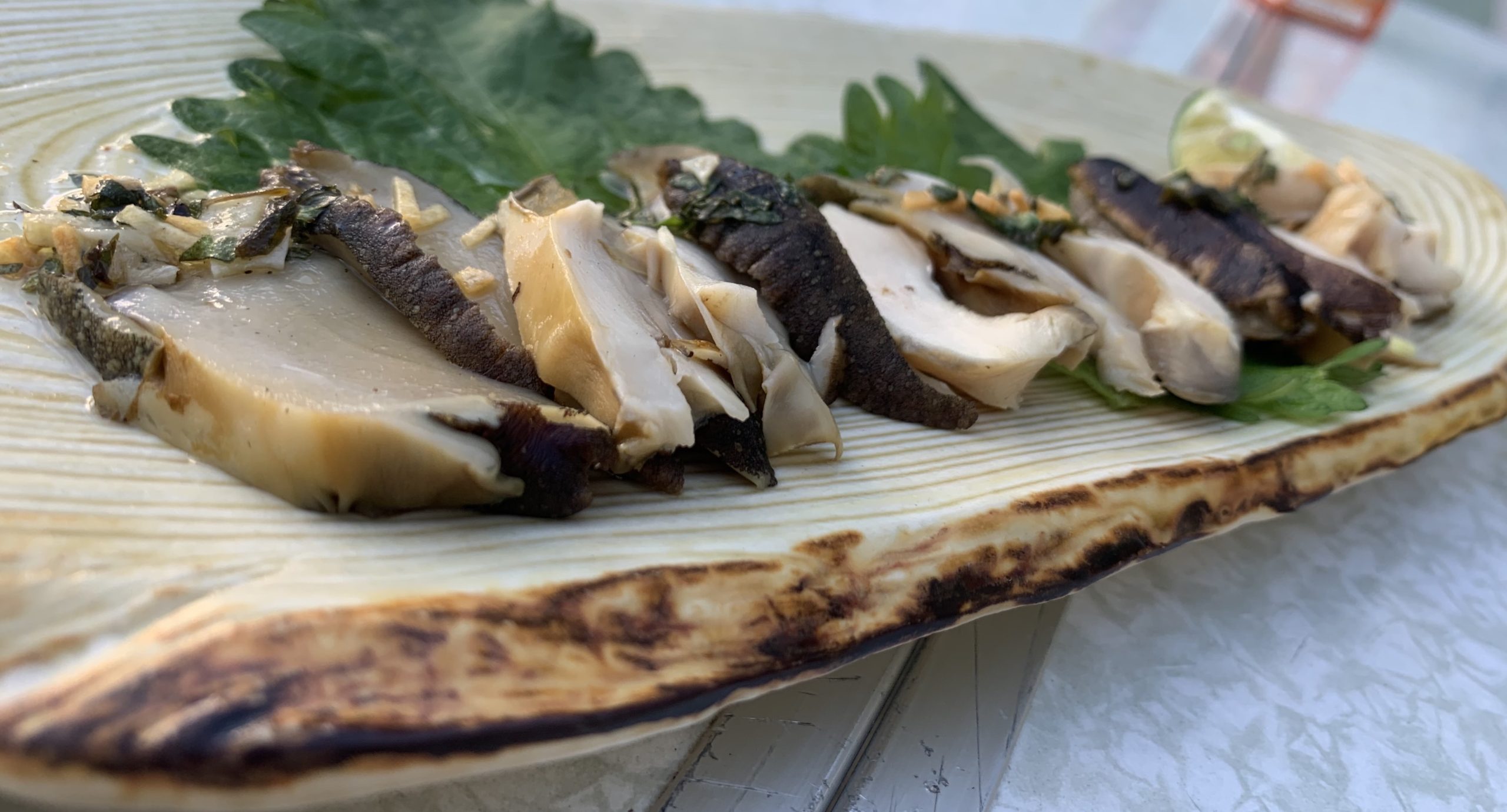 8A792FC5-1751-4E2F-B818-414CD1F97636