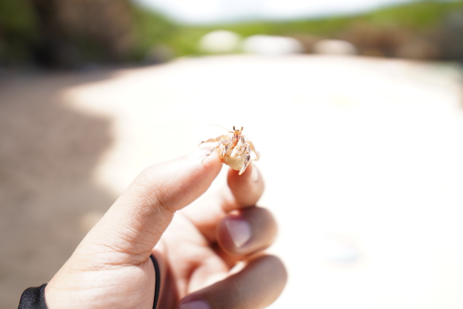 C96B1D69-2F9B-4B73-A72E-A7D49D7CF3B2